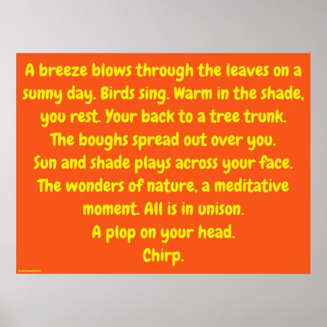 "Wonders Of Nature", humor, meditation Poster (Front)