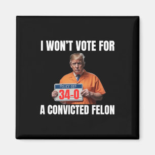Won't Vote For A Convicted Felon Magnet