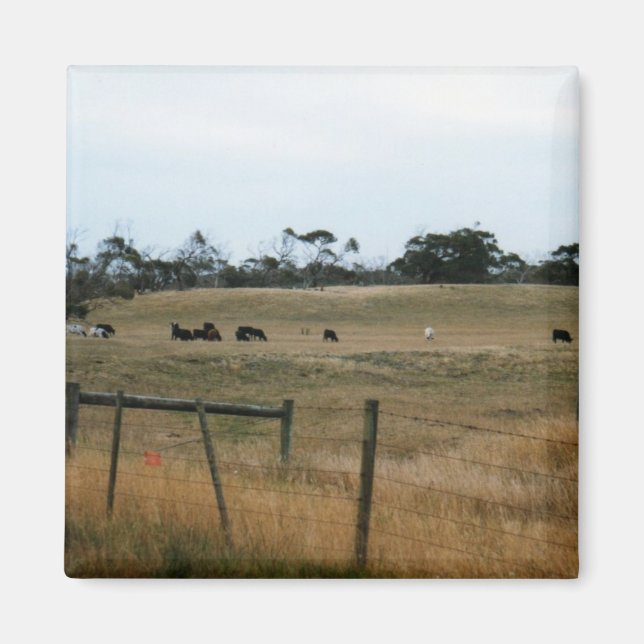 Wonthaggi Magnet (Front)