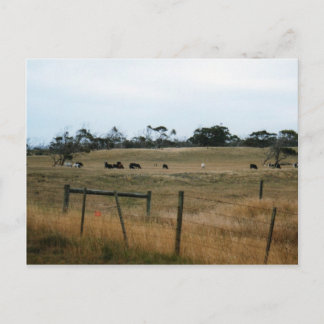 Wonthaggi Postcard
