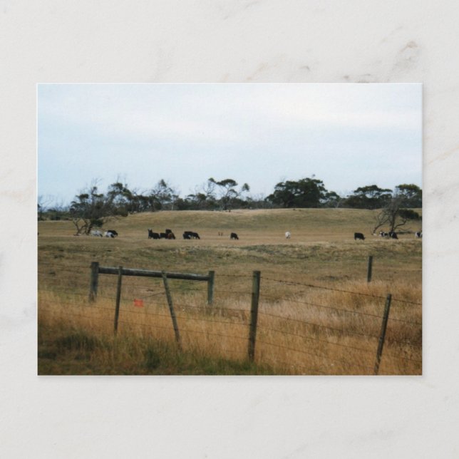 Wonthaggi Postcard (Front)