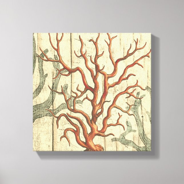 Wood and Small Coral Canvas Print (Front)