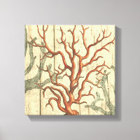 Wood and Small Coral