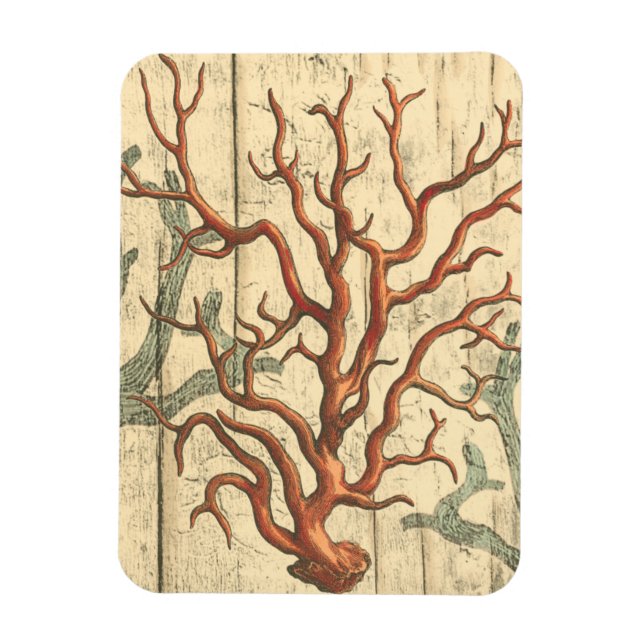 Wood and Small Coral Magnet (Vertical)