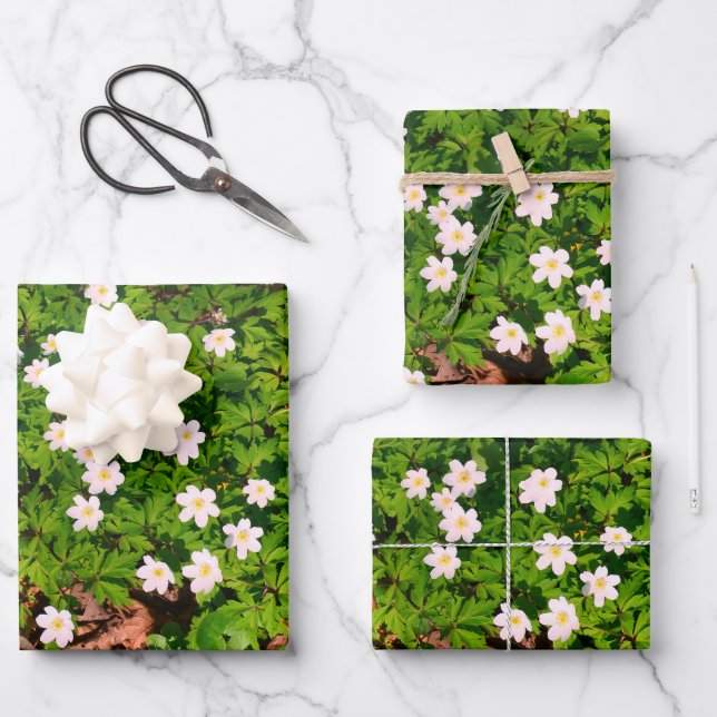 Wood anemone, pretty spring flower wrapping paper sheet (Front)