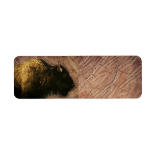 Wood Bison Buffalo
