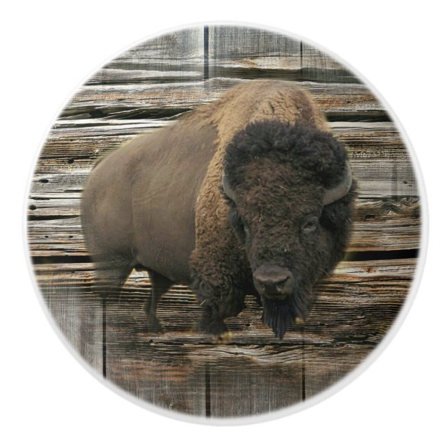 Wood Bison Ceramic Knob (Front)