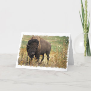 Wood Bison Greeting Card