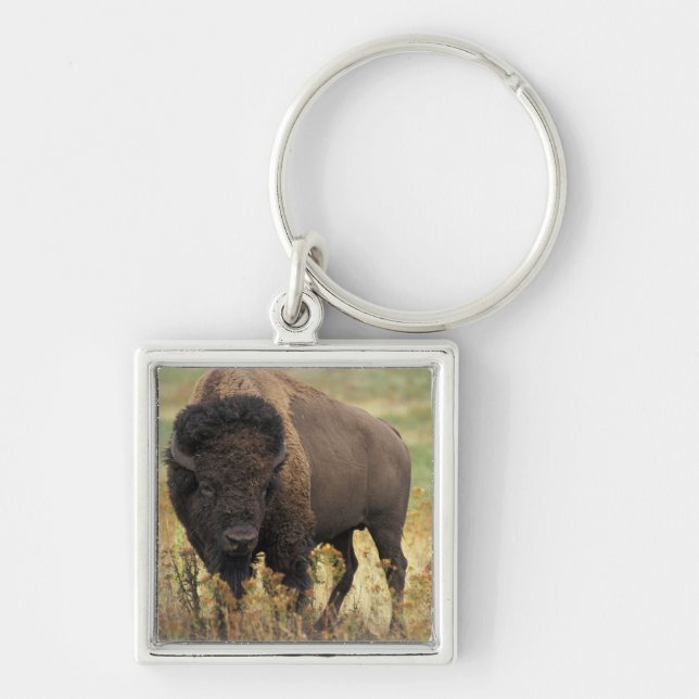 Wood Bison Keychain (Front)