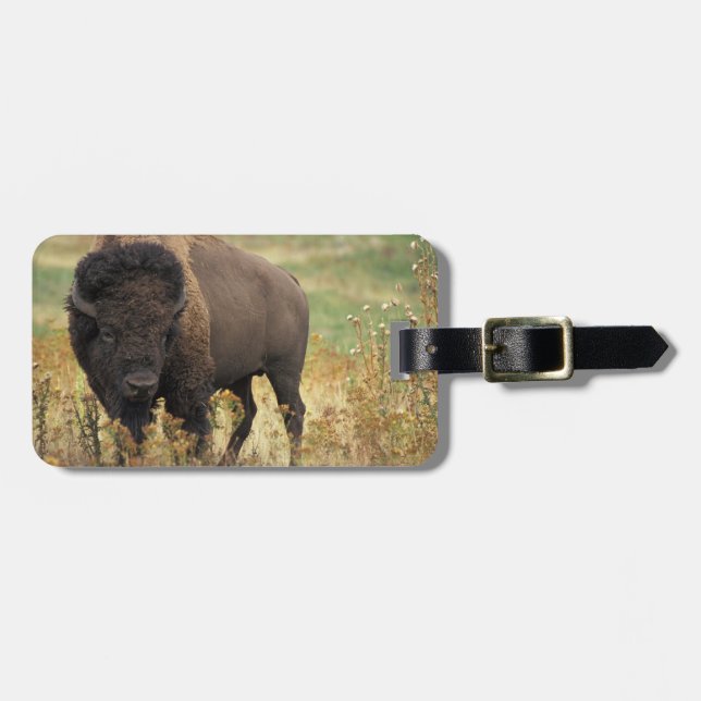 Wood Bison Luggage Tag (Front Horizontal)