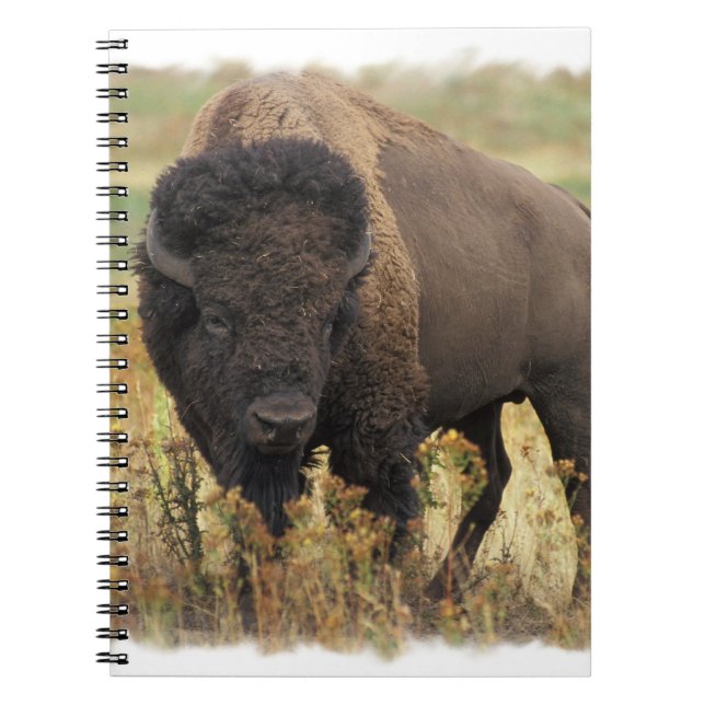Wood Bison Notebook (Front)