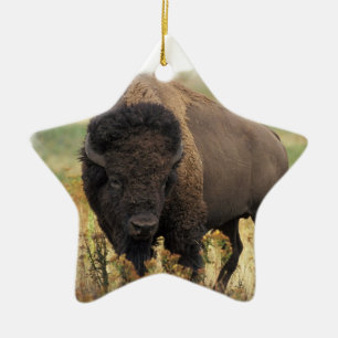 Wood Bison Ornament