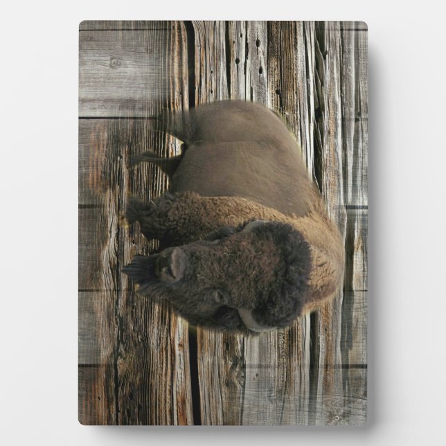 Wood Bison Plaque (Front)
