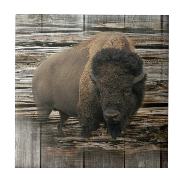 Wood Bison Tile (Front)