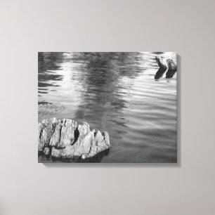 Wood Breaking Surface of Water Canvas Print