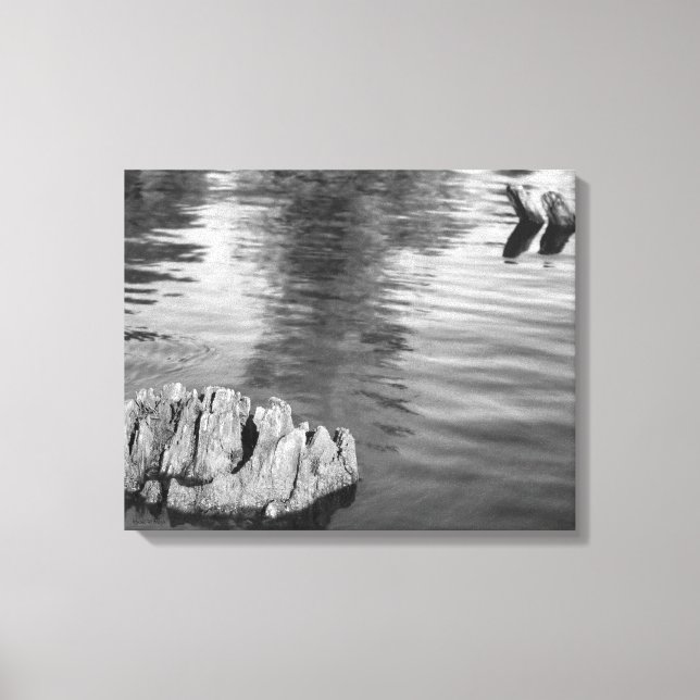 Wood Breaking Surface of Water Canvas Print (Front)