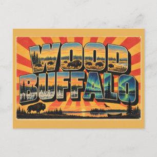 Wood Buffalo NP Bison Dark Sky Art Postcard