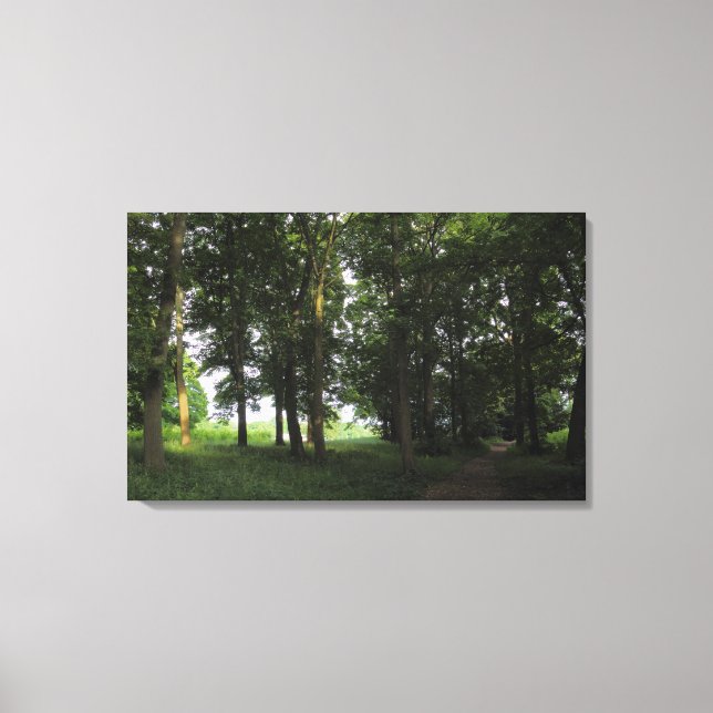 Wood, Bute Park Cardiff Canvas Print (Front)