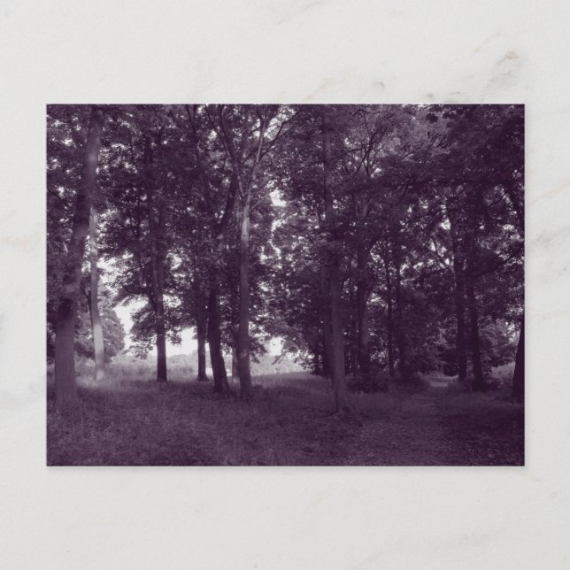 Wood, Bute Park Cardiff - Purple toned Postcard (Front)