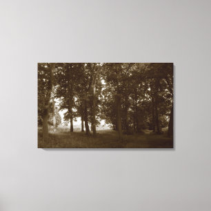 Wood, Bute Park Cardiff - Sepia toned Canvas Print