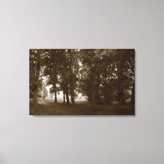 Wood, Bute Park Cardiff - Sepia toned Canvas Print (Front)