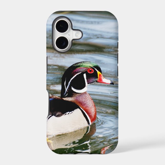 Wood Duck (Back)