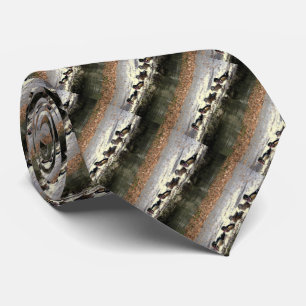 Wood Duck Birds Wildlife Animals Pond Tie