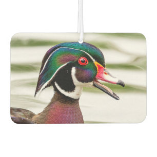 Wood Duck Car Air Freshener