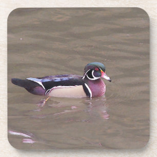 Wood Duck coaster