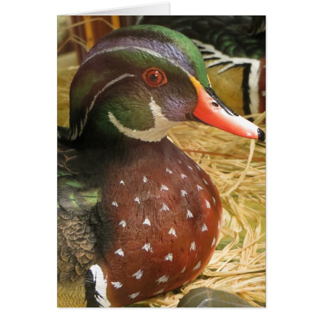 Wood Duck Decoy (Front)