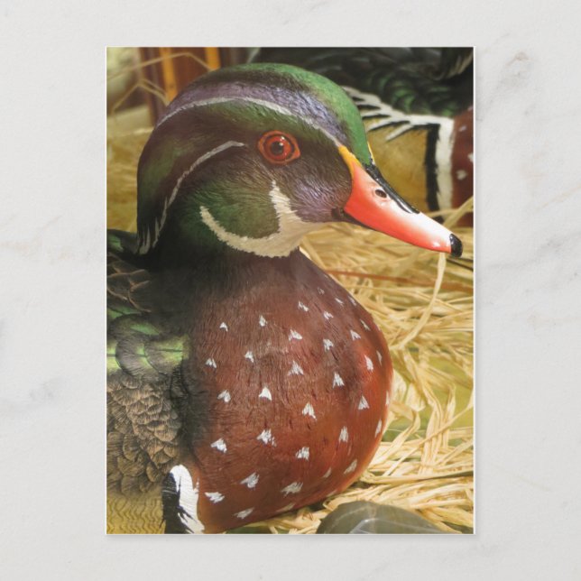 Wood Duck Decoy Postcard (Front)