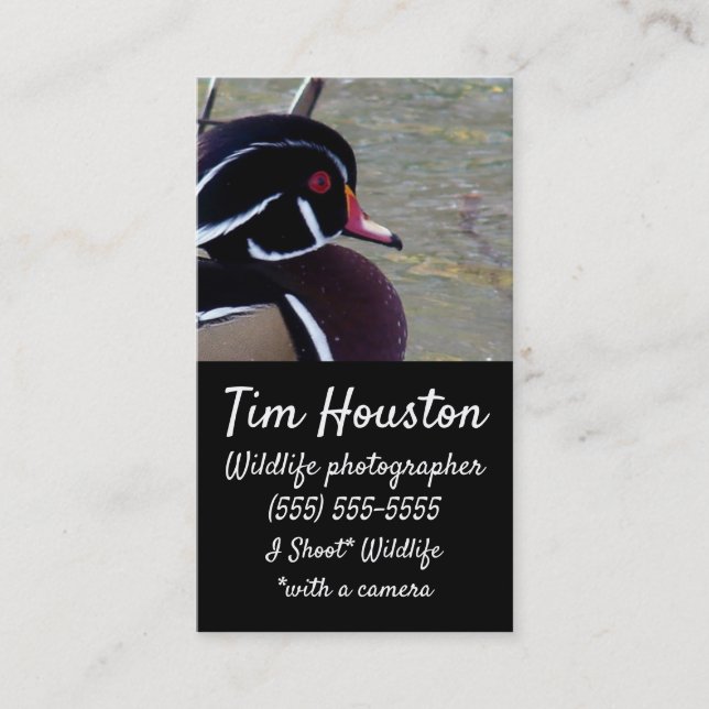 Wood Duck Drake Business Card (Front)