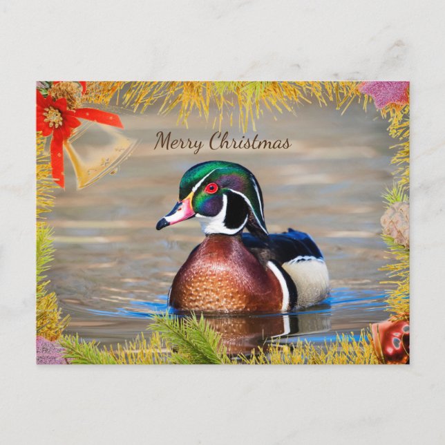 Wood Duck Drake Christmas Card (Front)