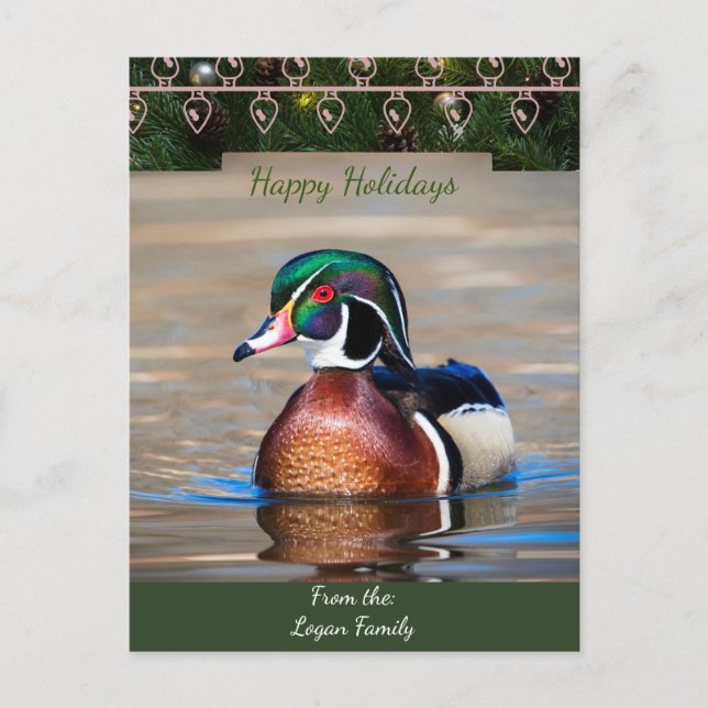 Wood Duck Drake Christmas Card (Front)