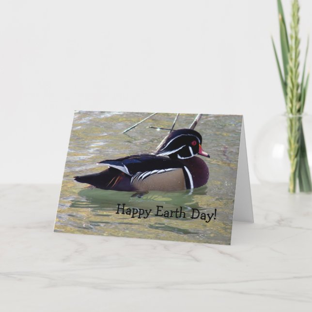 Wood Duck Drake, Happy Earth Day! Card (Front)