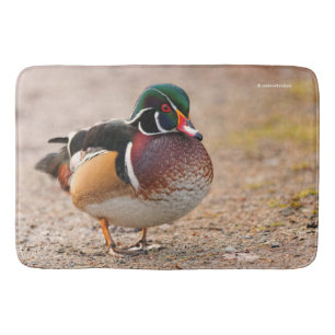 Wood Duck Drake on Gravel Bath Mat