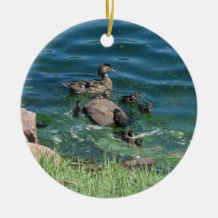 Wood Duck Family Ceramic Tree Decoration