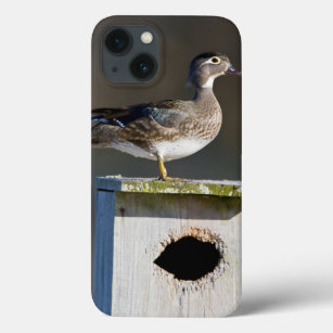 Wood Duck female on nest box in wetland Case-Mate iPhone Case