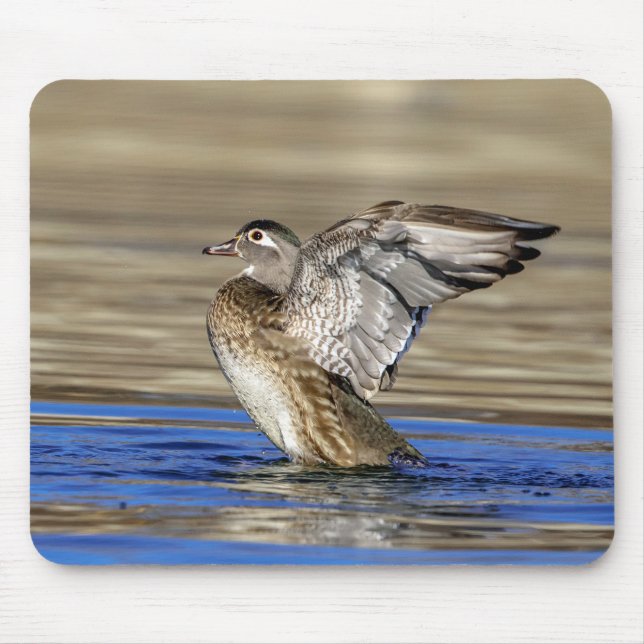 Wood Duck flapping her wings Mouse Mat (Front)