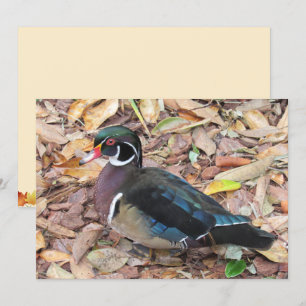Wood Duck Flat Card
