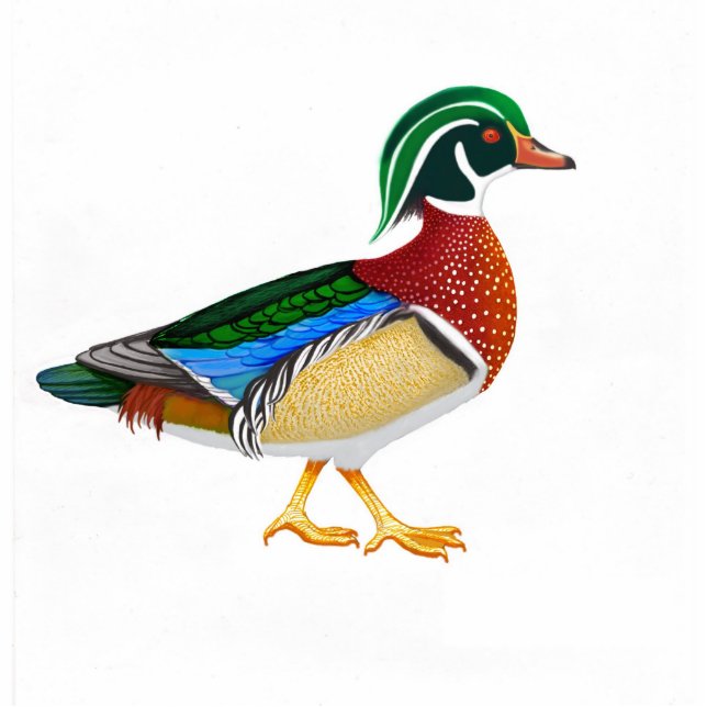 Wood Duck Holiday Ornament Photo Sculpture Decoration (Front)