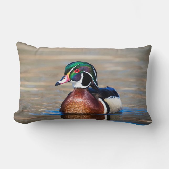 Wood Duck in a pond Lumbar Cushion (Front)