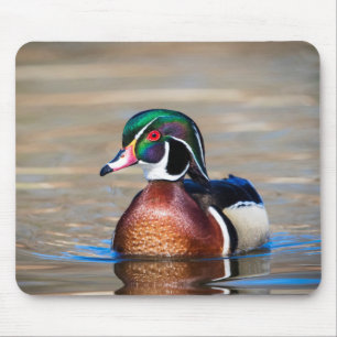Wood Duck in a pond Mouse Mat