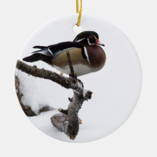 Wood Duck in Snow Ceramic Tree Decoration