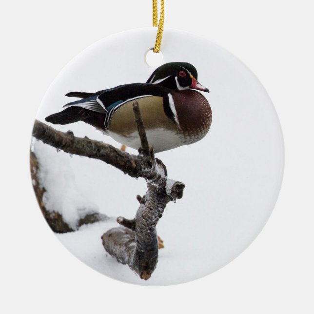 Wood Duck in Snow Ceramic Tree Decoration (Front)