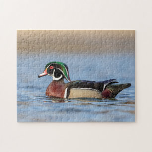 Wood Duck in the Hudson Valley Jigsaw Puzzle