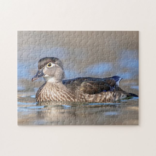 Wood Duck in the Hudson Valley Jigsaw Puzzle (Horizontal)