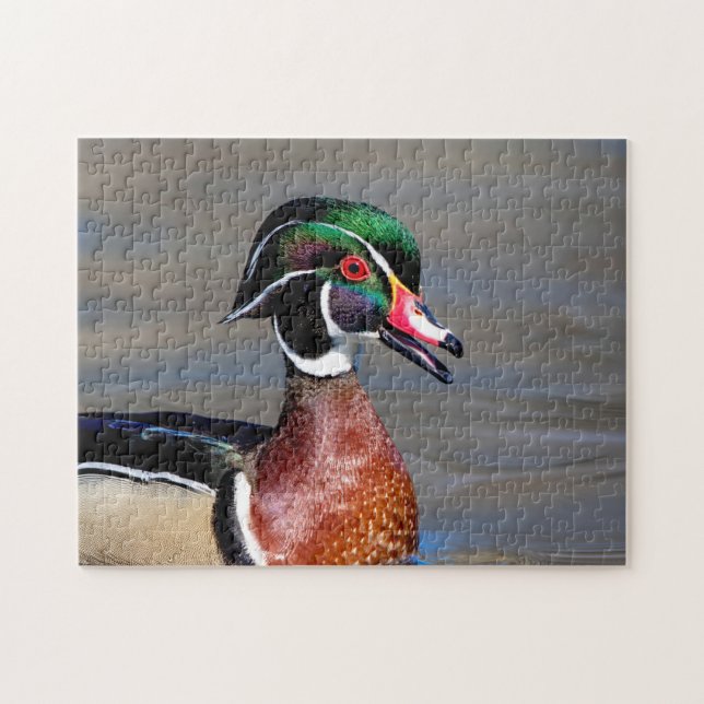 Wood Duck in the Hudson Valley Jigsaw Puzzle (Horizontal)