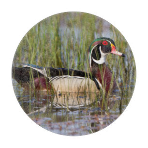 Wood Duck in wetland Cutting Board
