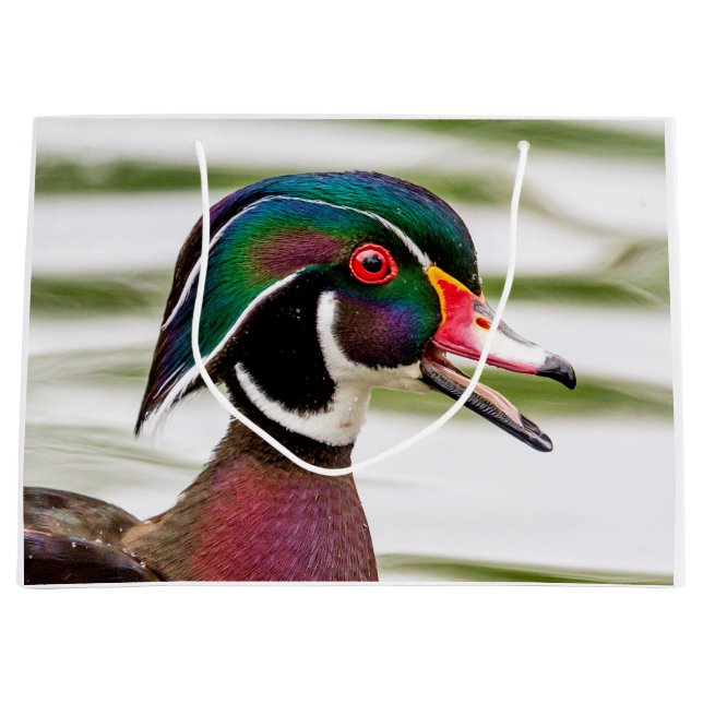 Wood Duck Large Gift Bag (Front)